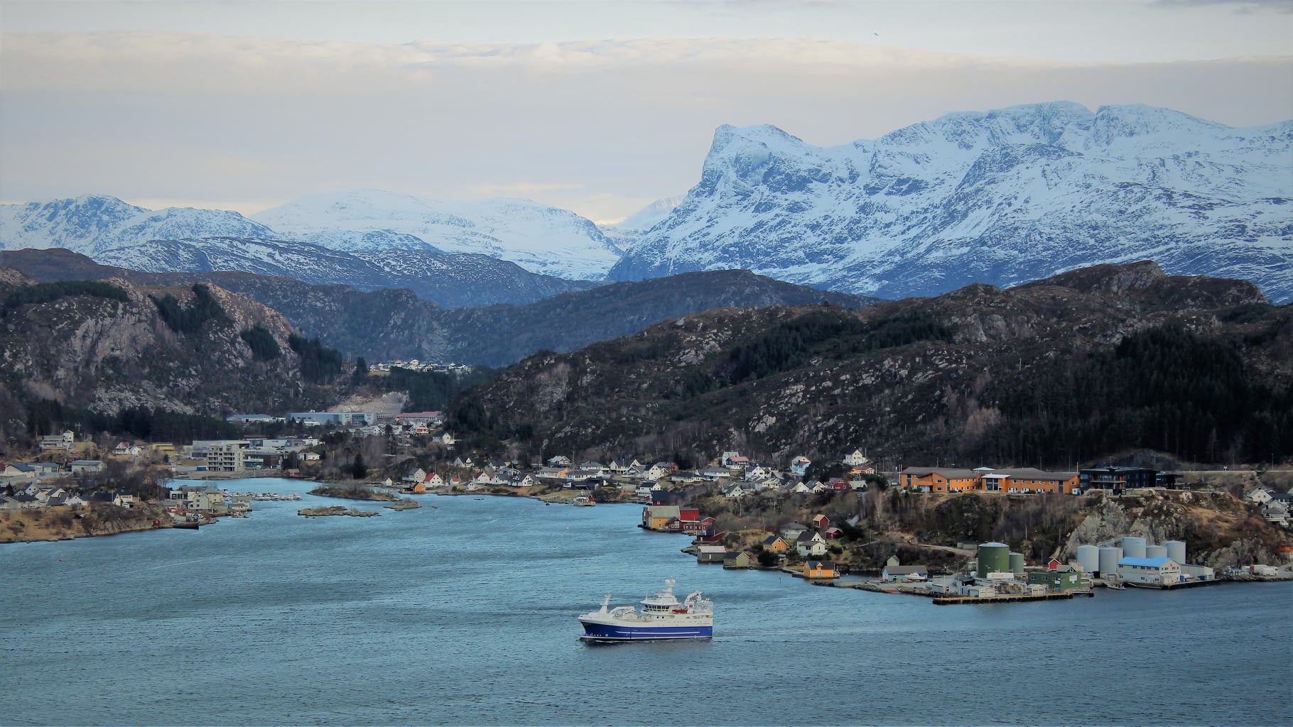 M/S Skar Senior
