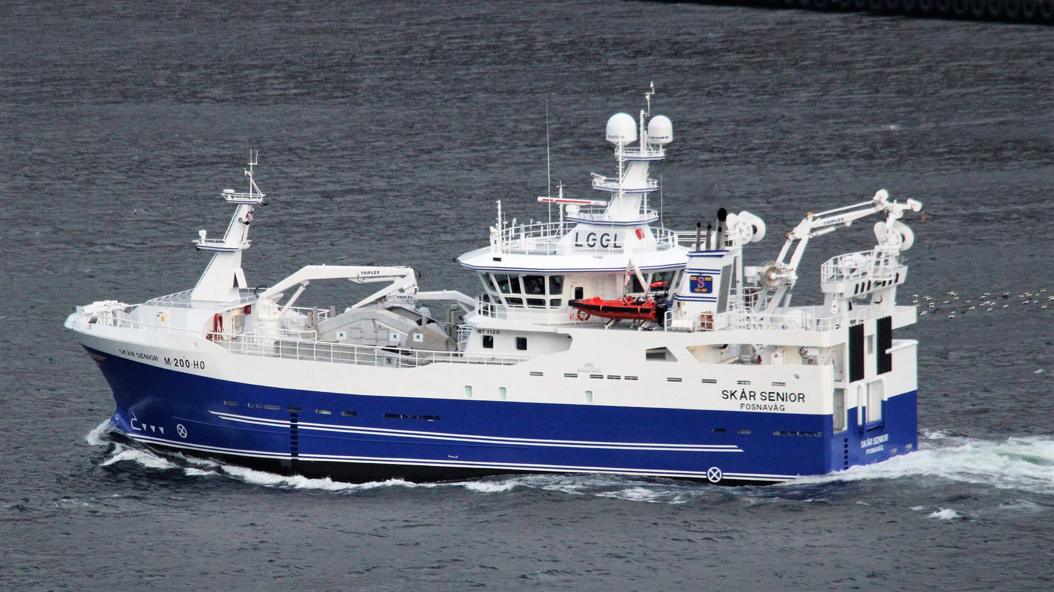 M/S Skar Senior
